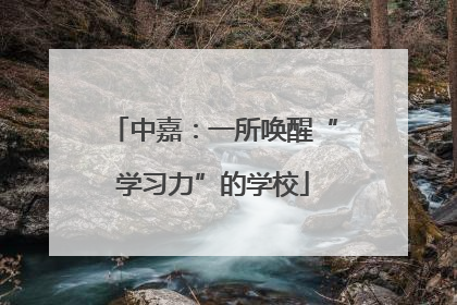 中嘉：一所唤醒“学习力”的学校