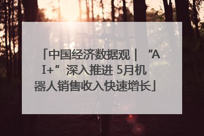 中国经济数据观｜“AI+”深入推进 5月机器人销售收入快速增长