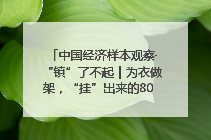 中国经济样本观察·“镇”了不起｜为衣做架，“挂”出来的80亿元“衣架产业”