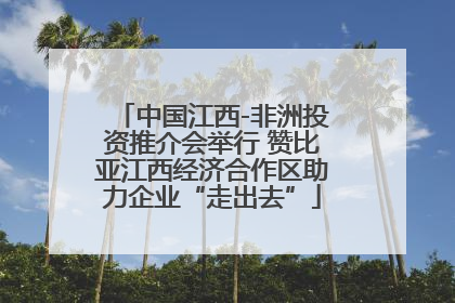 中国江西-非洲投资推介会举行 赞比亚江西经济合作区助力企业“走出去”