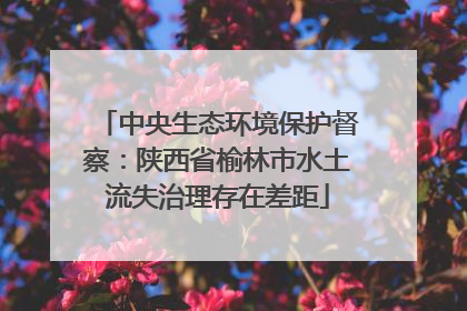 中央生态环境保护督察：陕西省榆林市水土流失治理存在差距