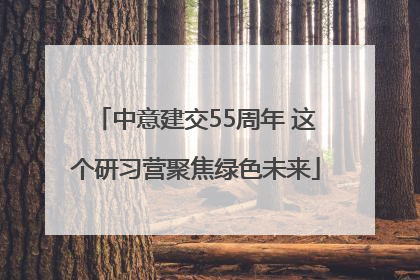 中意建交55周年 这个研习营聚焦绿色未来