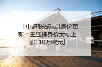 中超联赛球员身价更新：王钰栋身价大幅上涨110万欧元
