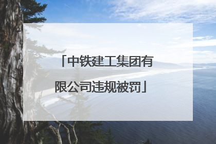 中铁建工集团有限公司违规被罚