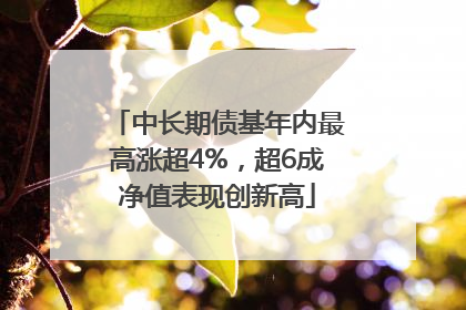 中长期债基年内最高涨超4%，超6成净值表现创新高