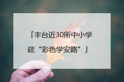 丰台近30所中小学建“彩色学安路”