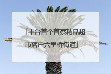 丰台首个首蔡精品超市落户六里桥街道