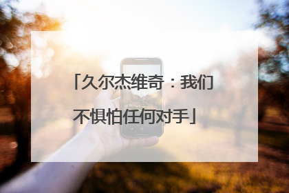 久尔杰维奇：我们不惧怕任何对手