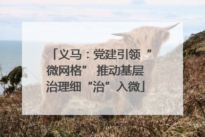 义马：党建引领“微网格” 推动基层治理细“治”入微