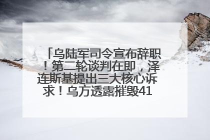 乌陆军司令宣布辞职！第二轮谈判在即，泽连斯基提出三大核心诉求！乌方透露摧毁41架俄战略轰炸机