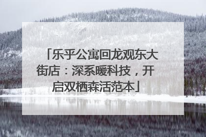 乐乎公寓回龙观东大街店：深系暖科技，开启双栖森活范本