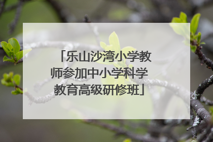 乐山沙湾小学教师参加中小学科学教育高级研修班