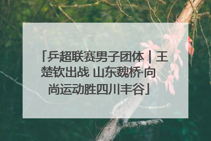 乒超联赛男子团体｜王楚钦出战 山东魏桥·向尚运动胜四川丰谷