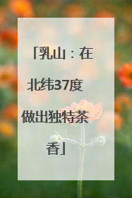 乳山：在北纬37度做出独特茶香