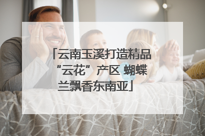 云南玉溪打造精品“云花”产区 蝴蝶兰飘香东南亚