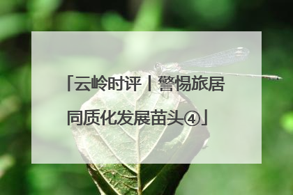 云岭时评丨警惕旅居同质化发展苗头④