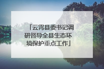 云霄县委书记调研督导全县生态环境保护重点工作