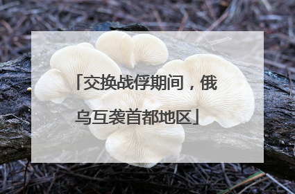 交换战俘期间，俄乌互袭首都地区