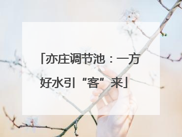 亦庄调节池：一方好水引“客”来