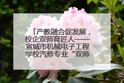 产教融合促发展，校企双师育匠人——宣城市机械电子工程学校汽修专业“双师”教学月活动收官
