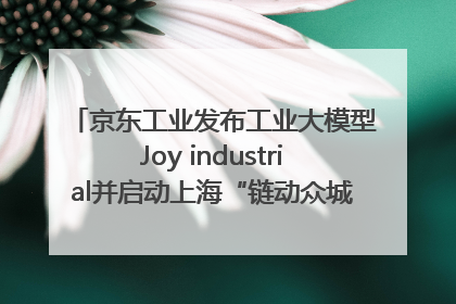 京东工业发布工业大模型Joy industrial并启动上海“链动众城 万亿降本”计划