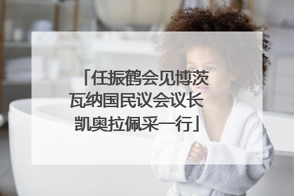任振鹤会见博茨瓦纳国民议会议长凯奥拉佩采一行