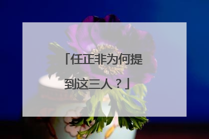 任正非为何提到这三人？