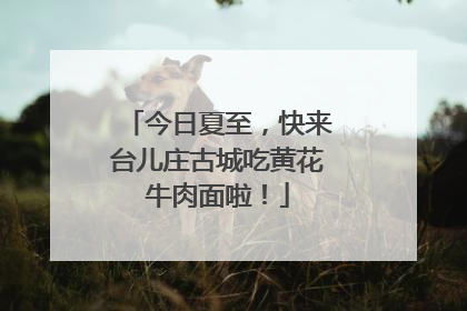今日夏至，快来台儿庄古城吃黄花牛肉面啦！