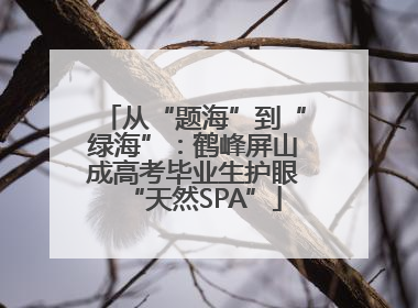 从“题海”到“绿海”：鹤峰屏山成高考毕业生护眼“天然SPA”