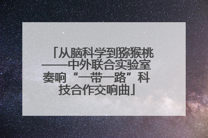从脑科学到猕猴桃——中外联合实验室奏响“一带一路”科技合作交响曲