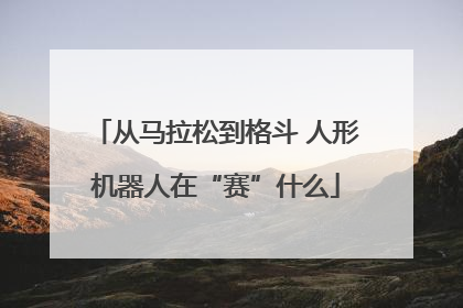 从马拉松到格斗 人形机器人在“赛”什么