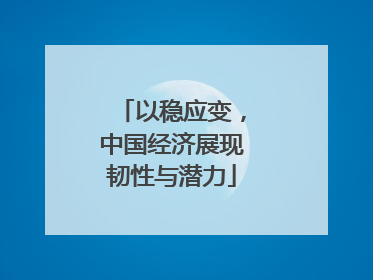 以稳应变，中国经济展现韧性与潜力
