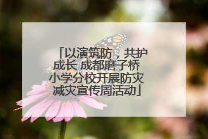 以演筑防，共护成长 成都磨子桥小学分校开展防灾减灾宣传周活动