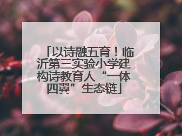 以诗融五育！临沂第三实验小学建构诗教育人“一体四翼”生态链