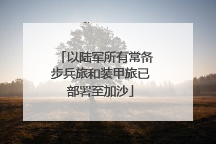 以陆军所有常备步兵旅和装甲旅已部署至加沙