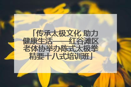 传承太极文化 助力健康生活——红谷滩区老体协举办陈式太极拳精要十八式培训班
