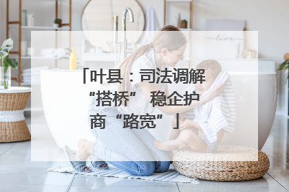 叶县：司法调解“搭桥” 稳企护商“路宽”