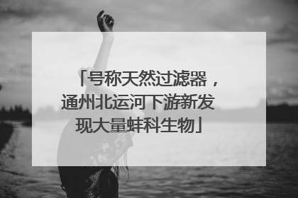 号称天然过滤器，通州北运河下游新发现大量蚌科生物