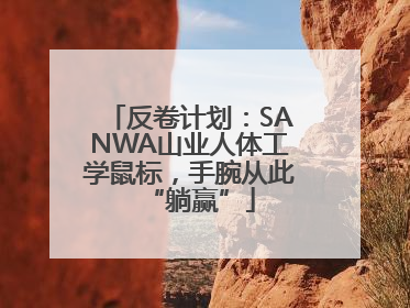 反卷计划：SANWA山业人体工学鼠标，手腕从此“躺赢”