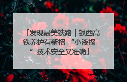 发现最美铁路｜银西高铁养护有新招 “小液捣”技术安全又准确