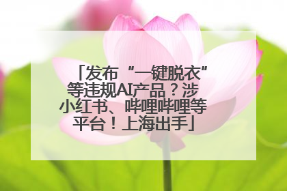 发布“一键脱衣”等违规AI产品？涉小红书、哔哩哔哩等平台！上海出手
