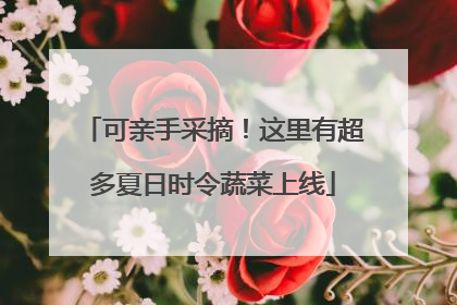 可亲手采摘！这里有超多夏日时令蔬菜上线