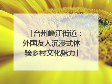 台州峰江街道：外国友人沉浸式体验乡村文化魅力
