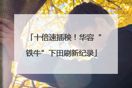 十倍速插秧！华容“铁牛”下田刷新纪录
