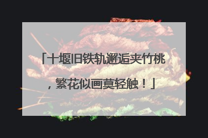 十堰旧铁轨邂逅夹竹桃，繁花似画莫轻触！
