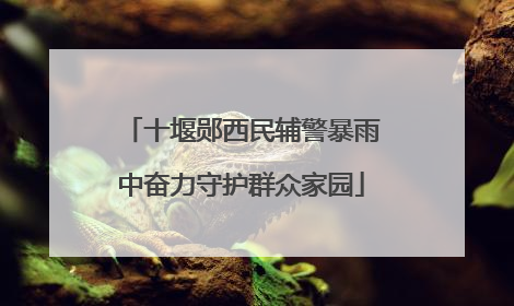 十堰郧西民辅警暴雨中奋力守护群众家园