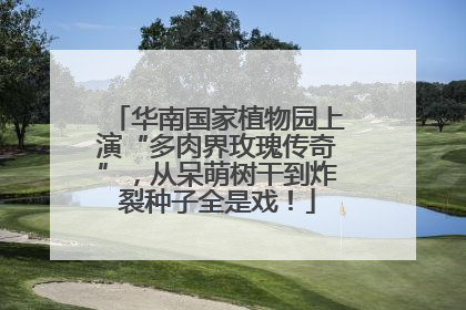 华南国家植物园上演“多肉界玫瑰传奇”，从呆萌树干到炸裂种子全是戏！
