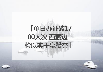单日办证破1700人次 西藏边检以实干赢赞誉