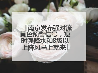 南京发布强对流黄色预警信号，短时强降水和8级以上阵风马上就来