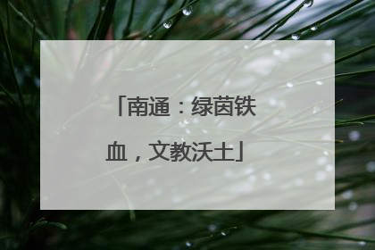 南通：绿茵铁血，文教沃土